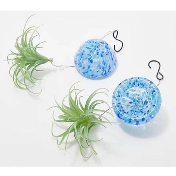 The Ultimate Innovations Jellyfish Colored Glass Air Plant Hanging Globe 2 - Picture 3 of 8